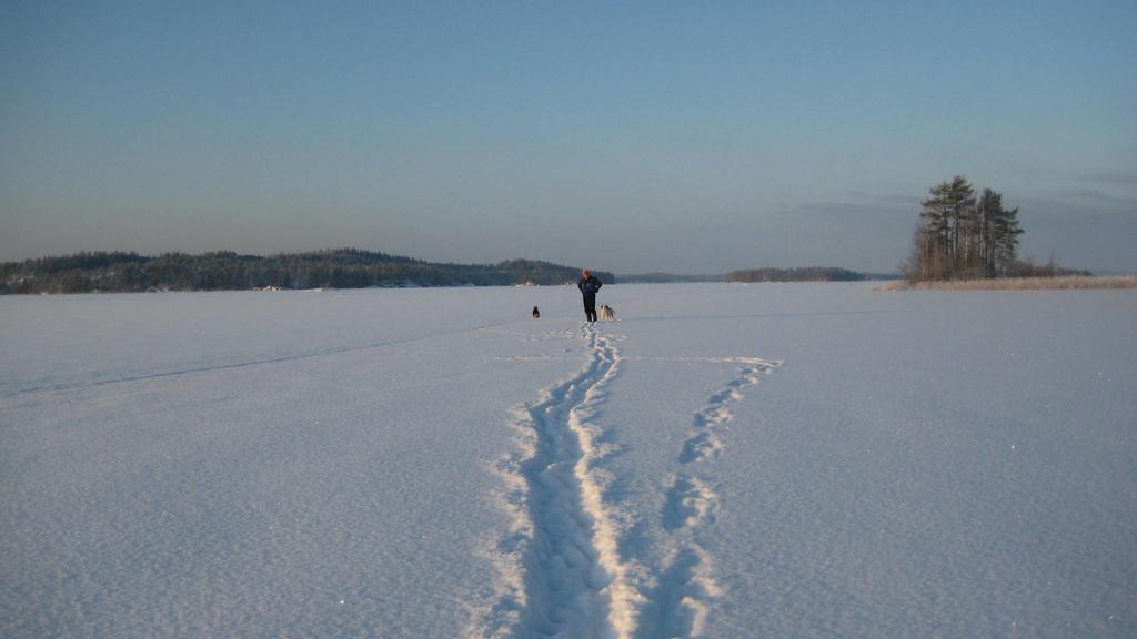 Nestorinranta Resort Lintusalo ภายนอก รูปภาพ