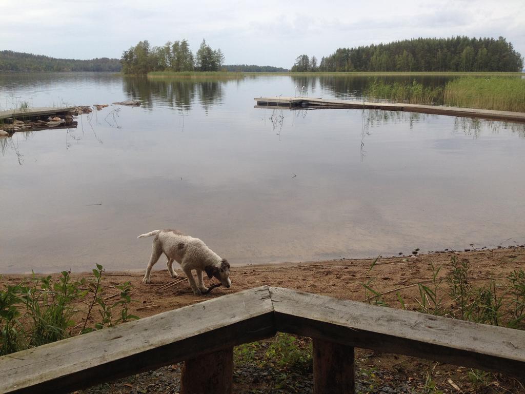 Nestorinranta Resort Lintusalo ภายนอก รูปภาพ